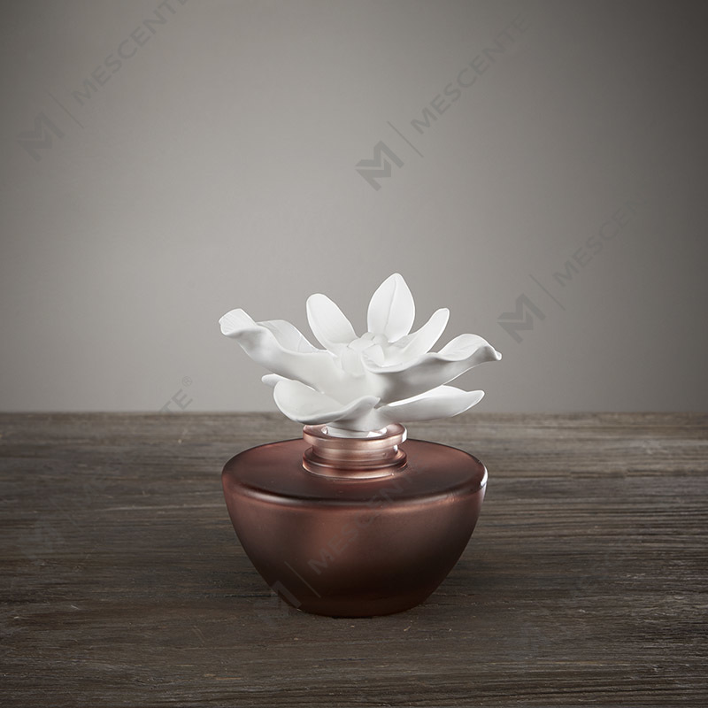 Olio per diffusore di aromi con mini profumo di fiori bianchi, set regalo con diffusori a bastoncini di fragranza tailandese