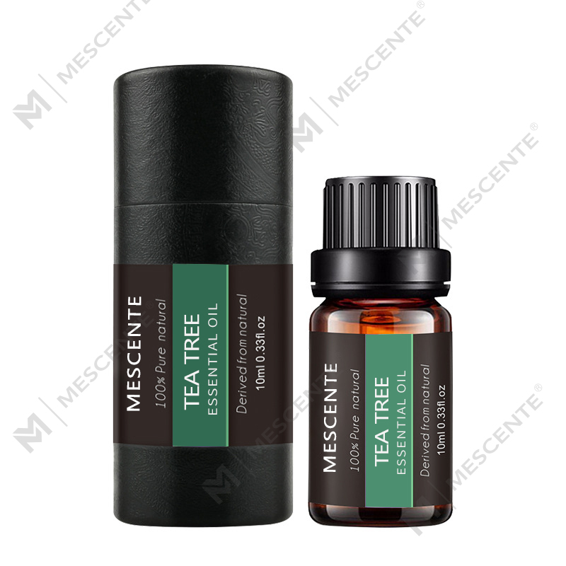M&Scent Designer Organic Natural Bulk Diffusore a bastoncini Hotel Home Profumo da uomo Olio profumato a lunga durata