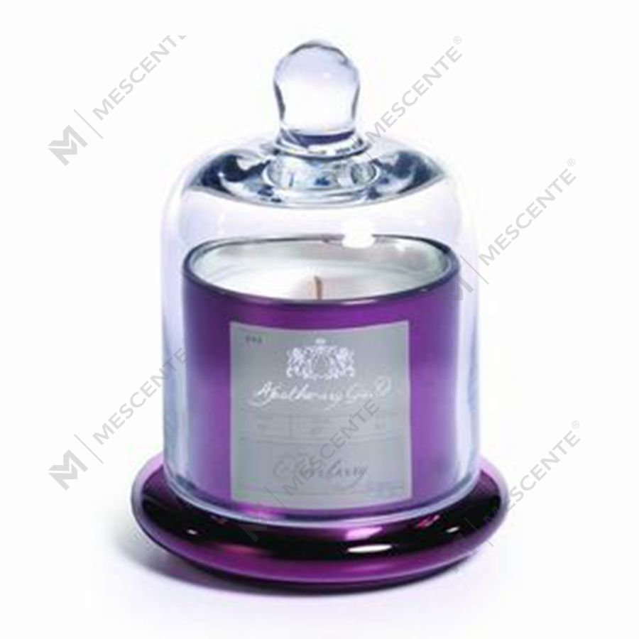 Mescente Luxury Silver Coperchio bombato Portacandele profumato Barattoli con cupola in vetro