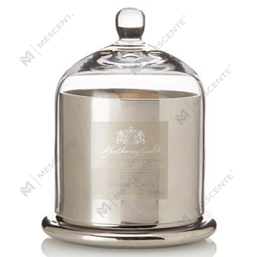Mescente Luxury Silver Coperchio bombato Portacandele profumato Barattoli con cupola in vetro