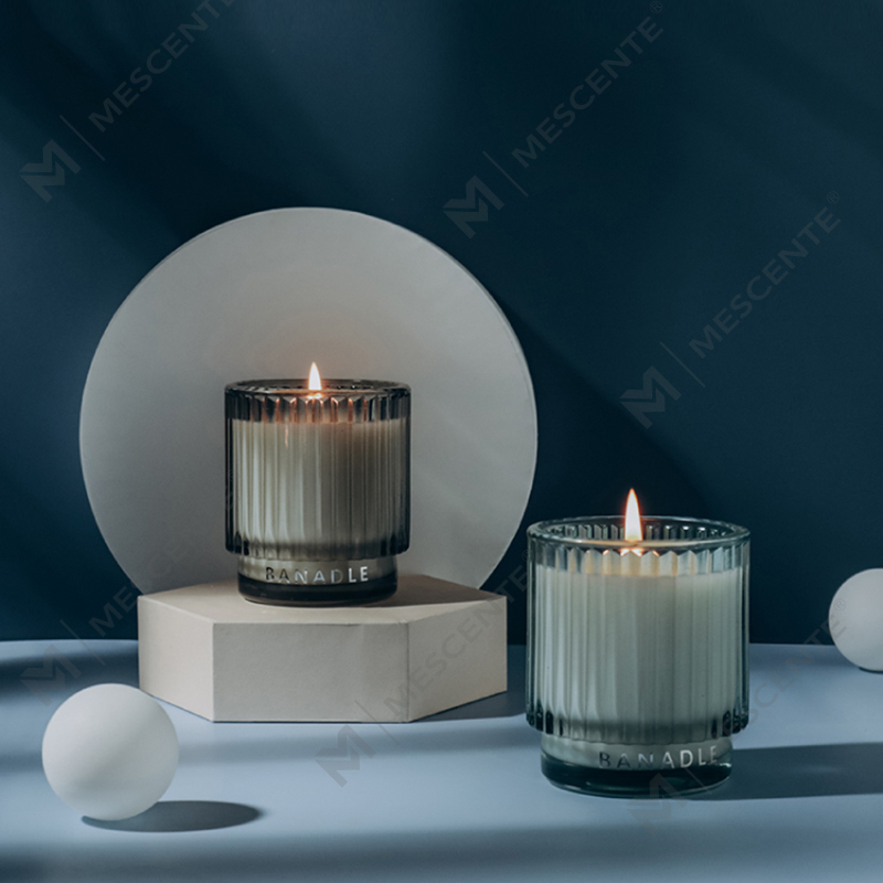 Candele grandi in giara profumate M&Scent Fragrances alla menta selvatica ed eucalipto