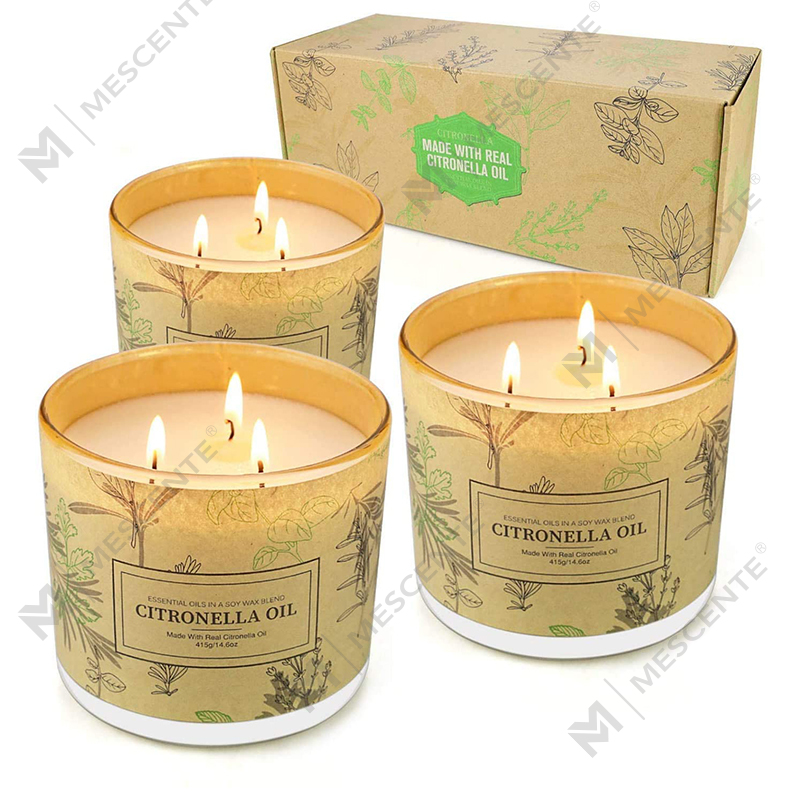 Set di candele all'olio di citronella per aromaterapia con barattolo di 3 stoppini di lunga durata per il balcone del patio del giardino di casa